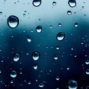 Meet your Posher, Karla